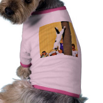 Cats Jumping pet clothing