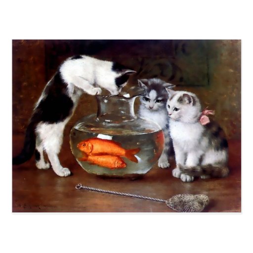 Cats Kittens Fishing In A Fish Bowl Painting Postcard 