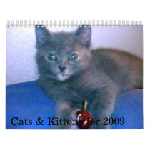 Cats & Kittens for 2009 calendars by Rukia20 Cats & Kittens for 2009 calendars