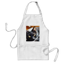 Cats Kitties Kitty aprons