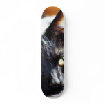 Cats Kitties Kitty Skateboard Decks