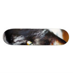 Cats Kitties Kitty Skateboard Decks