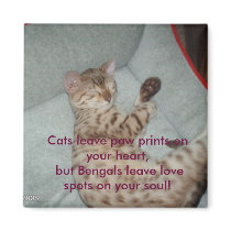 Cats leave paw prints on your heart, but... refrigerator magnet