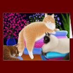 Cats Love Clean Laundry Card cards