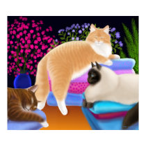Cats Love Clean Laundry Poster posters