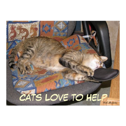 Cats Love to Help print