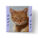 Cat's Lover_ buttons