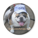 CATS Magnet: