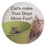 cats make your days more fun plate