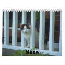 Cats Meow Wall Calendar