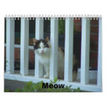 Cats Meow calendars