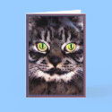 Cat's Meow cards