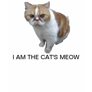 Cat's Meow Women's/GIrls Tshirt shirt