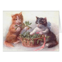 Cats & Mistletoe Cards