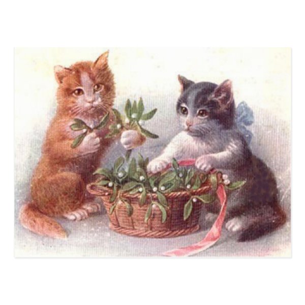 Cats & Mistletoe Postcard