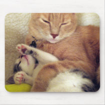Cats mouse pad mousepads