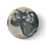 cats - mowglie pip and cleo.jpg pins