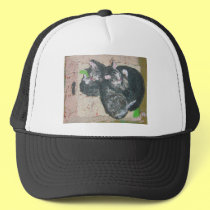 cats - mowglie pip and cleo.jpg hats