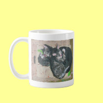cats - mowglie pip and cleo.jpg mugs