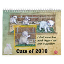 Cats of 2010 wall calendars