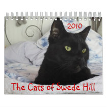 Cats of Swede Hill 2010 Wall Calendar
