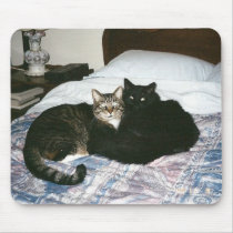 cats on bed mousepad