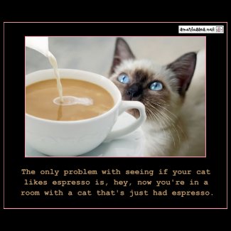 Cats On Espresso Cats On Espresso
