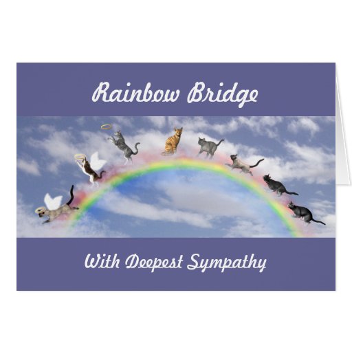 Sympathy - Rainbow Bridge