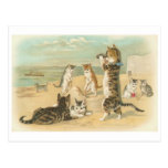 "Cats on the Beach " Vintage Post Card