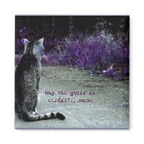 Cat's Philosophy magnets by OlgasArt Cat's Philosophy magnets