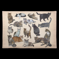 Cats placemats