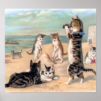 Cats Playing at the Beach Print print