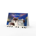 Cats Playing Piano cards by Lidusik Cats Playing Piano cards