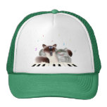 Cats Playing Piano Trucker Hat