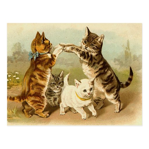 Vintage Cat Postcard 112