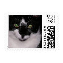 CATS postage