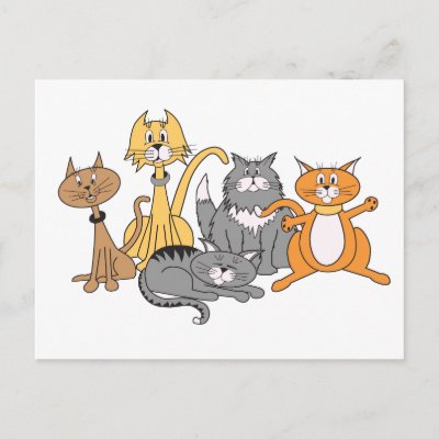 Cats! Postcard