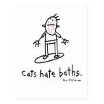 cats postcard