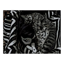 Cats posters by alaa168 Cats posters