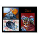 Cats posters by klocke Cats posters