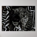 Cats posters