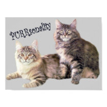 Cats Poster PURRsonality posters by purrfection Cats Poster PURRsonality posters