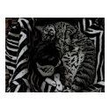 Cats posters