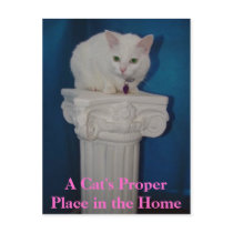 Cat's Proper Place in the Home postcards by myrtieshuman Cat's Proper Place in the Home postcards