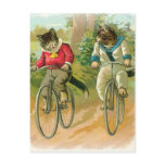 Cats Riding Bikes Post Card