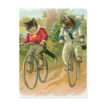 Cats Riding Bikes Post Card