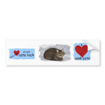CATS ROCK bumper stickers
