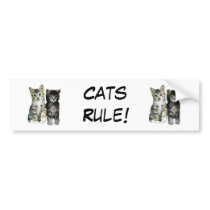 Cats Rule Bumper Sticker bumper stickers by purrfection Cats Rule Bumper Sticker bumper stickers