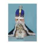 Cats Rule Postcards