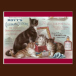 Cats Selling Cologne Victorian Trade Card postcards